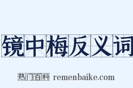 镜中梅反义词是什么意思的图片